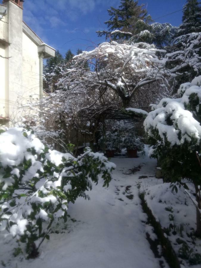 Casa Bartolacci Cozy Apartment Bivigliano Bagian luar foto