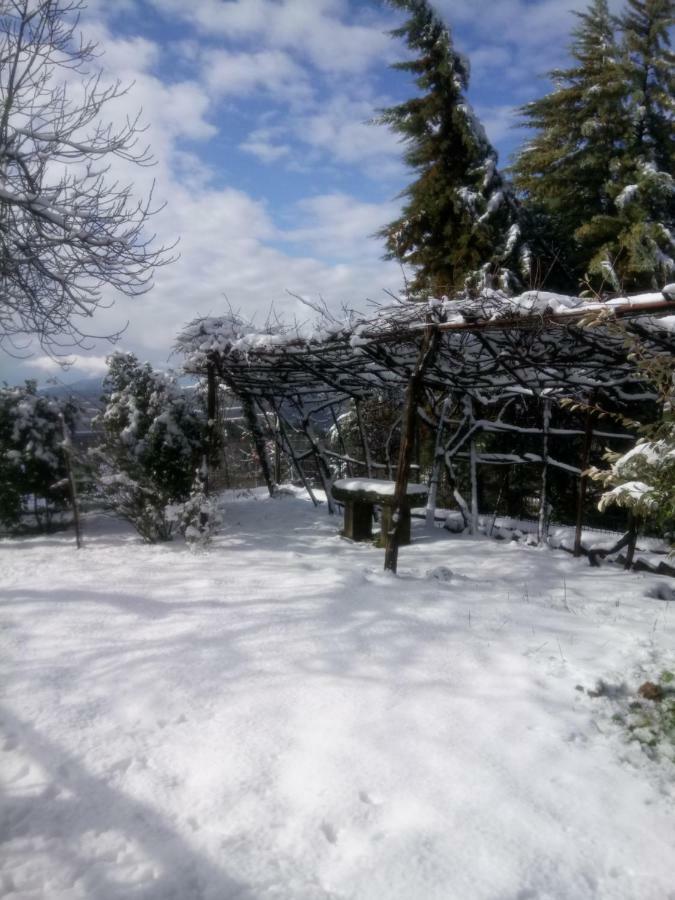 Casa Bartolacci Cozy Apartment Bivigliano Bagian luar foto