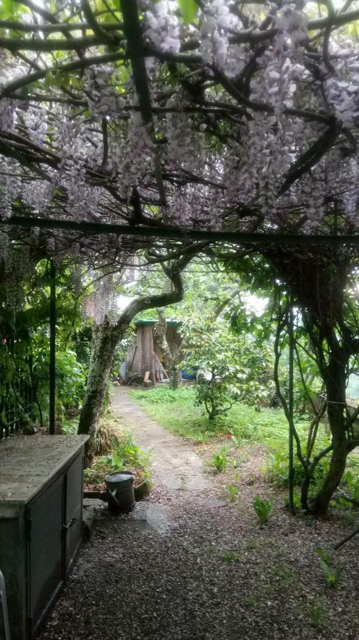 Casa Bartolacci Cozy Apartment Bivigliano Bagian luar foto